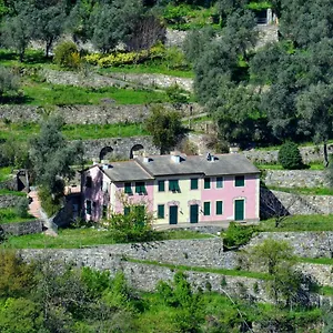  Appartamento Olivari - Apt Il Cedro Italia